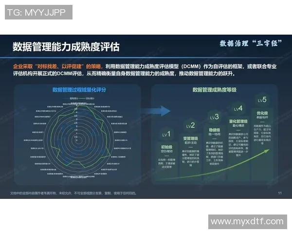 深入探讨个人能力在IG平台上的数据分析与表现评估