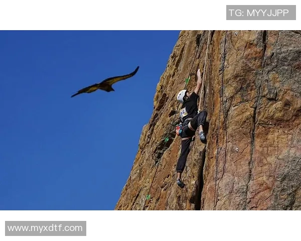 重庆攀岩队的盯防体系与攀岩战术的深度解析与应用探讨 重庆攀岩队的盯防体系与攀岩战术的深度解析与应用探讨